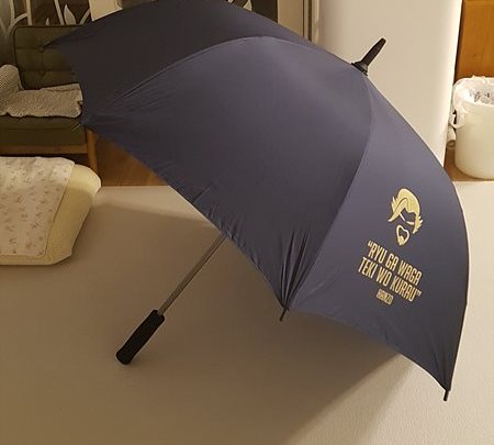 한조 우산 (2).jpg