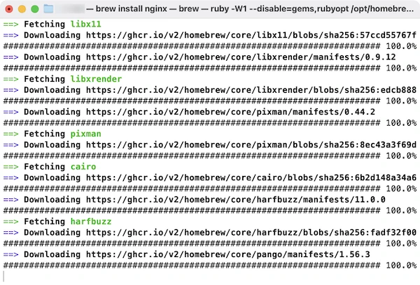 맥에서 nginx.webp